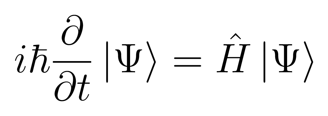 The Schroedinger Equation